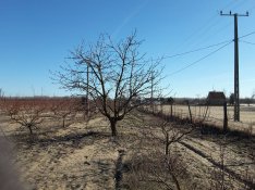 Eladó Szántó, telek Balástya. Őszeszék tanyán 1661 m2-es telek eladó