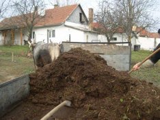 Érett Szarvasmarha Trágya Rendelhető
