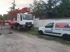 Fakivágás gallyazás veszélyes fák eltávolítása alpinistatechnikával