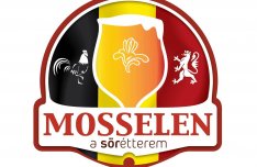 Felszolgáló 13. ker - hosszú táv