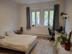 Felújított Lakás A Mester Utcában!