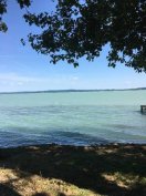 Gondnok,takarító Balaton északi part