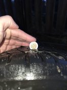 Gyári 16" Audi alufelni garnitúra fiatal Continental téligumikkal