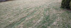 Gyepszellőztetés, kertrendezés