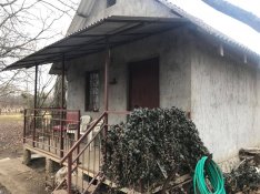 Gyöngyösi tónál hobbikert