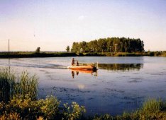 Halgazdaság Tiszasüly-Kolopfürdőn eladó