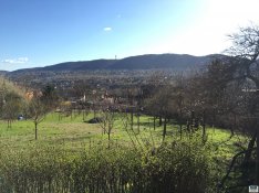 III. kerületi eladó telek