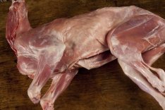 Kecske hús őstermelőtől konyhakészen eladó! Siófok