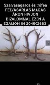 Keresek: Ágancs trófea vétel országosan 204592683