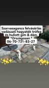 Keresek: Győr moson megyeben kiszallasal **** Ágancs vásárlásai