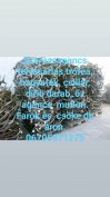 Keresek: Keresek. Keresek.Ágancs vétel országos szinten 06.705971275
