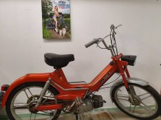 Keresek: Puch Maxi VÉTEL ?