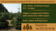 Kijelölhető normand fenyő, nordmann, ezüstfenyő, lucfenyő, luc fenyőfa