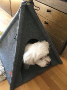 Kutyaház kutya sátor fekhely játék szűrke posztó új Myanimaly