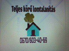 Lomtalanítás Hagyaték régiség veterán jármű használt cikk felvásárlás