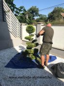 Metszés, fűnyírás, kertgondozástól a kertépítésig