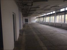 Műhely vagy raktár helyiség kiadó