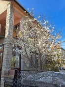 Nyúlon 2 Generációs Családi Ház Eladó!