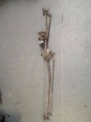 Peugeot 307 első ablaktörlő motor , mechanika , szerkezet
