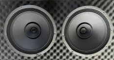 Philips Ad-12202 M4 12" bangszóró  párban