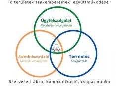 Projektmenedzser > Ügyfélszolgálat, online marketing, web