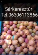 Sárgabarack, meggy eladó