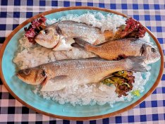 Szakács Munkatársat keresek Olasz étterembe