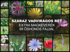 Száraz Vadvirágos Rét Extra Magkeverék 59 Őshonos Fajjal
