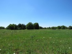 T-003282 Feketehegyen összközműves 1692m2-es építési telek eladó