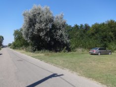 Tiszakécske, Kerekdomb út, 8000 m2-es, telek