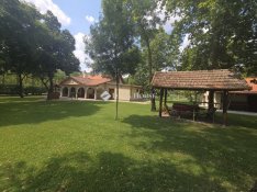 Tiszakécskei 200 nm-es ház eladó