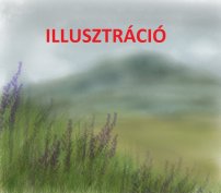 Vállalkozásnak, telephelynek kiválóan alkalmas telek!