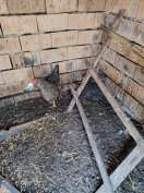 amrock család eladó