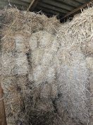 kisbáláa széna eladó