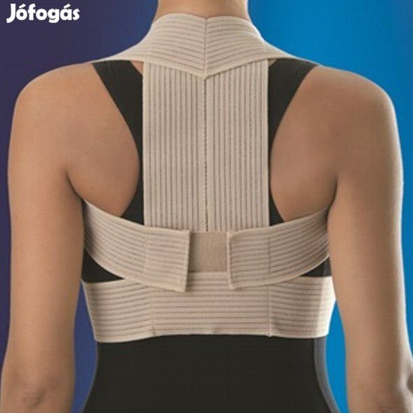 0322 Tartásjavító hátpánt ANATOMIC vvx