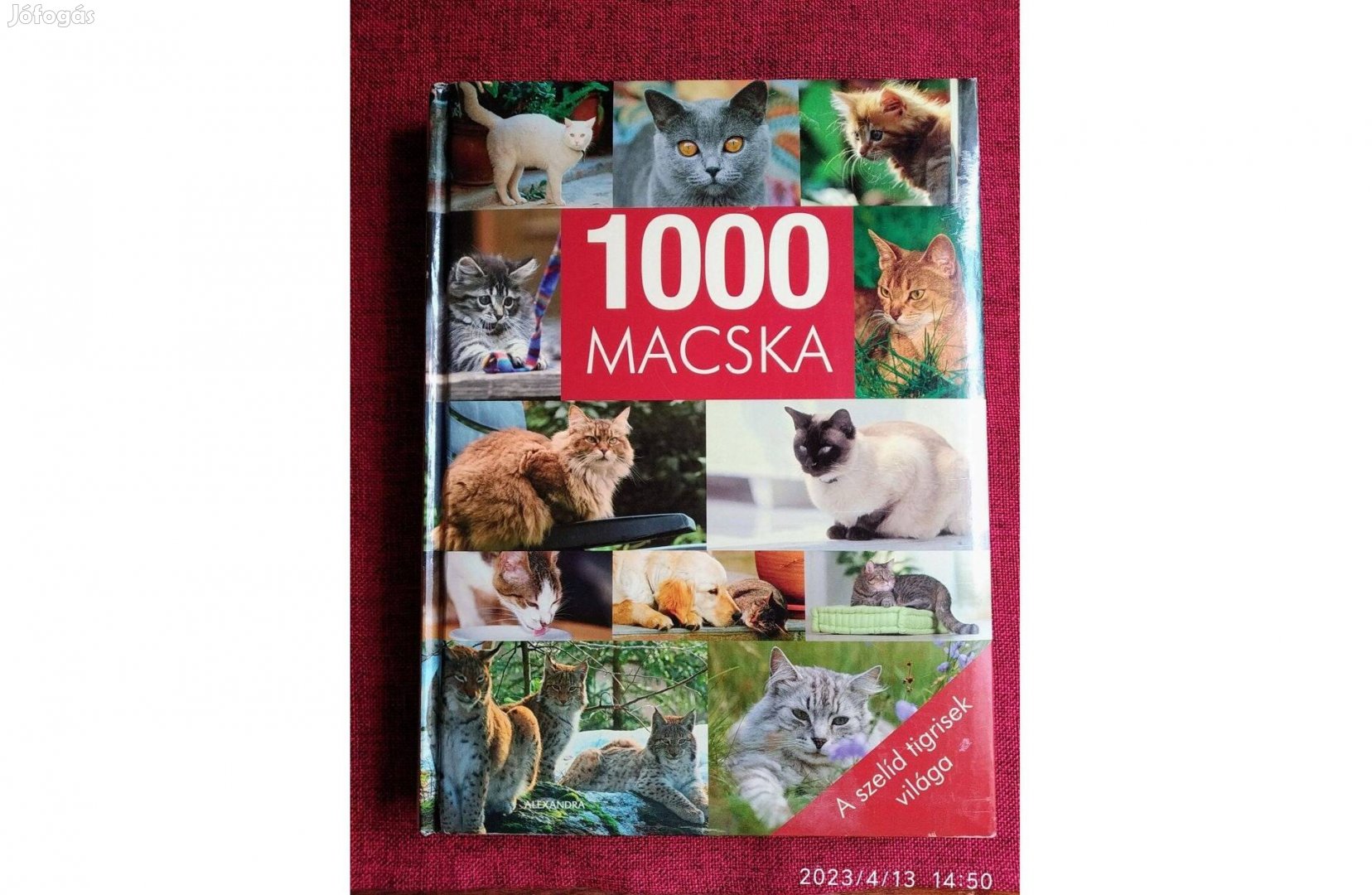 1000 Macska Birgit Adam Dr. Beate Ralston Julia Christ Ines Christn