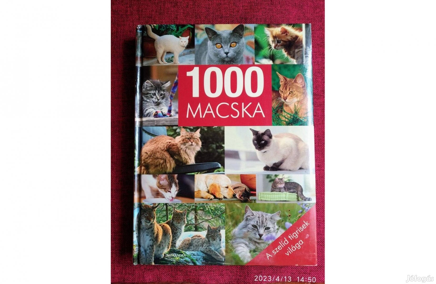 1000 Macska Birgit Adam Dr. Beate Ralston Julia Christ Ines Christner-