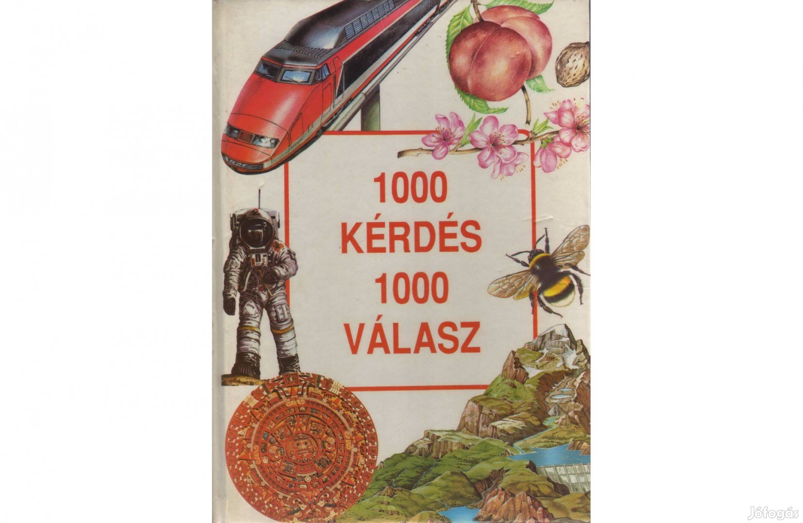 1000 kérdés, 1000 válasz