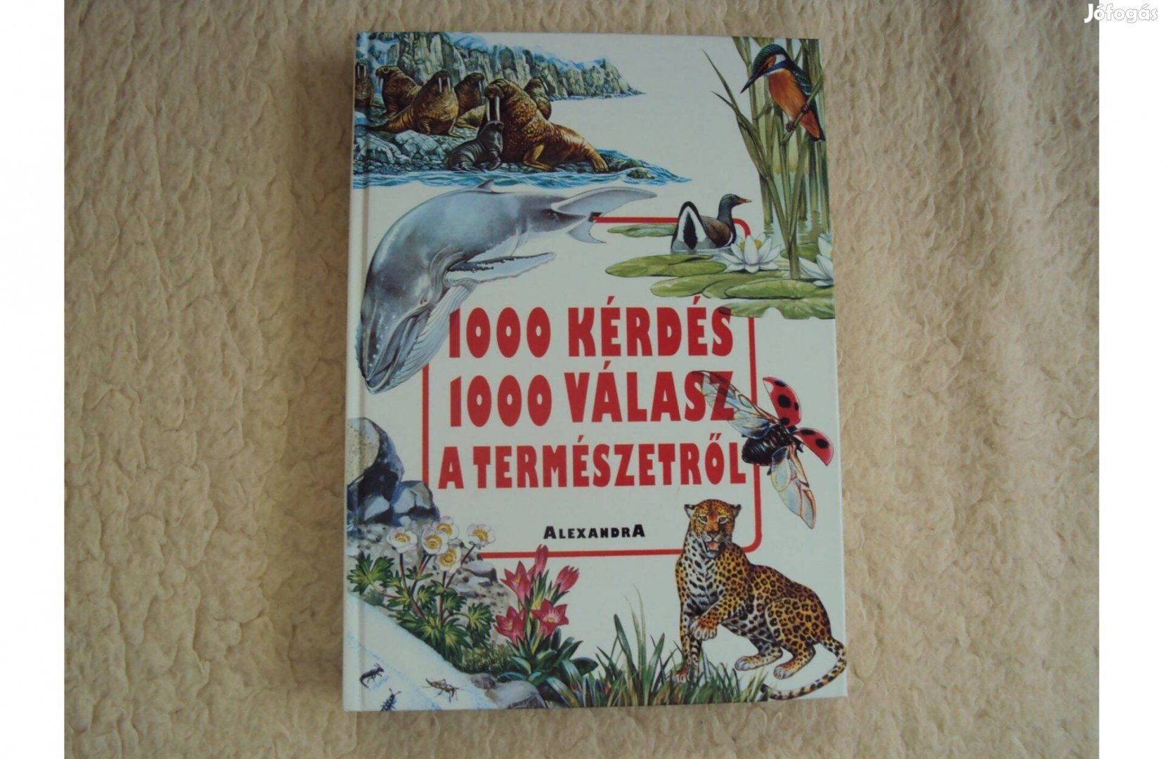 1000 kérdés és 1000 válasz a természetről