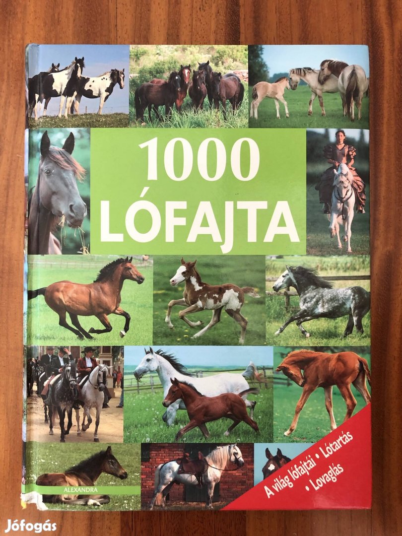 1000 lófajta könyv