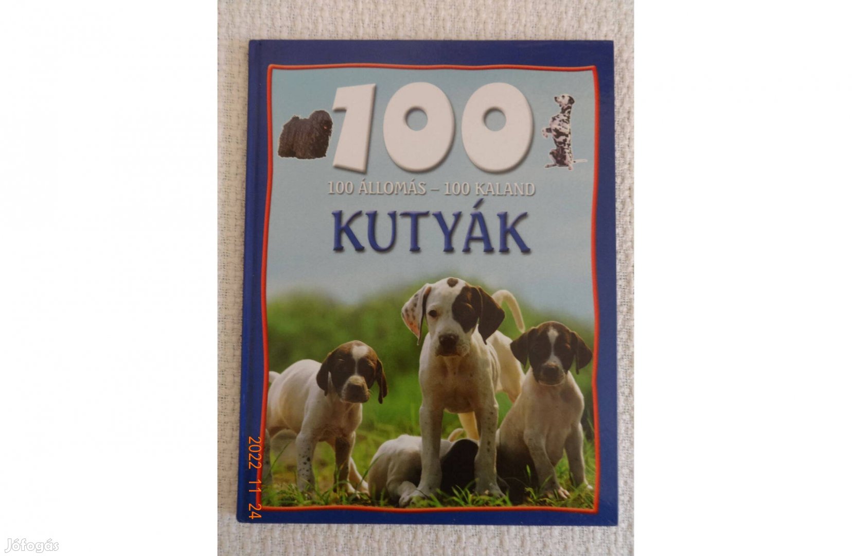 100 állomás - 100 kaland - Kutyák - ismeretterjesztő könyv gyerekeknek