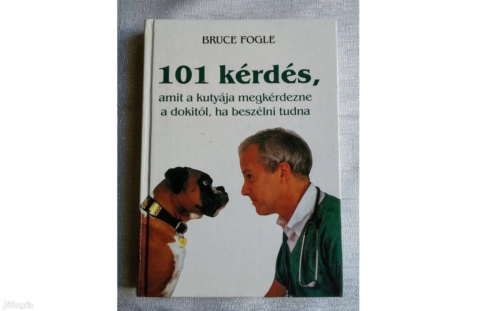 101 kérdés, amit a kutyája megkérdezne a dokitól, ha beszélni tudna