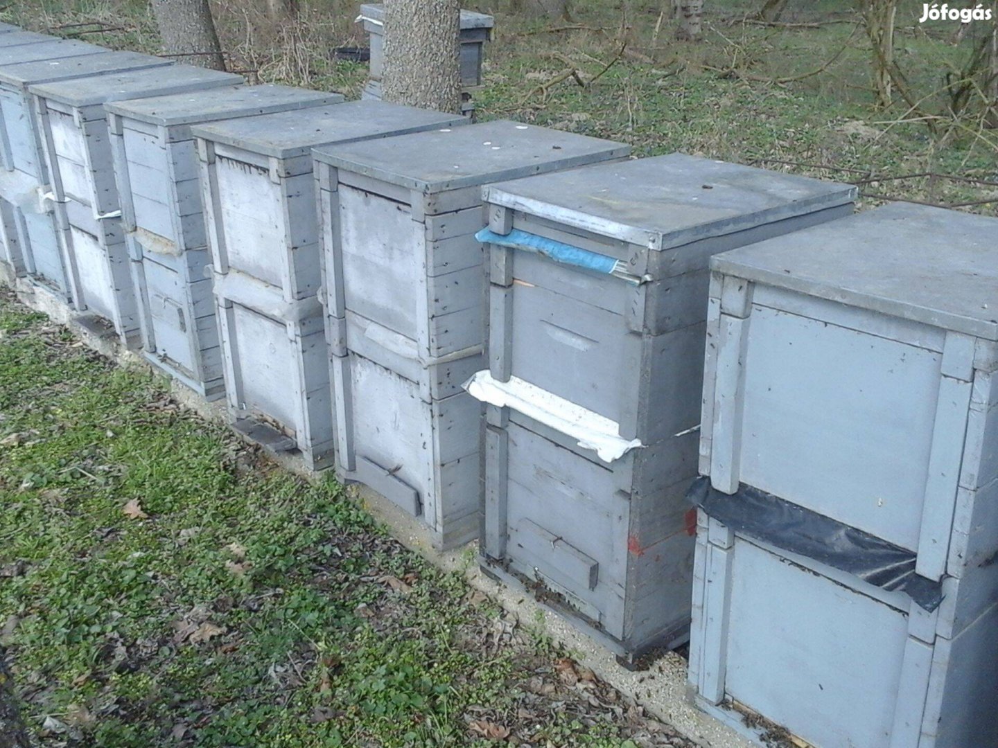 10 db méhcsalád hunor kaptárba kompletten