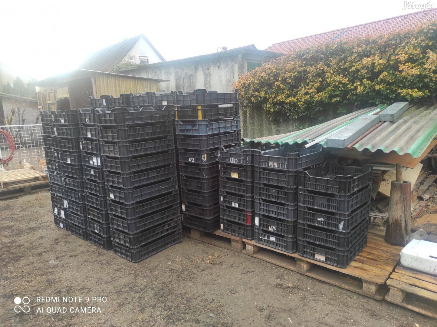 10-es rekesz eladó!