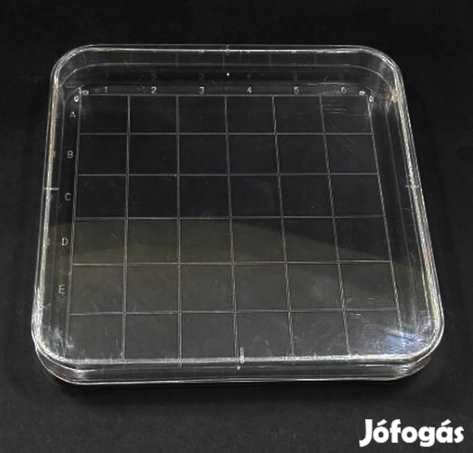 10db MŰanyag Petri Csésze 10x10mm  (4315)