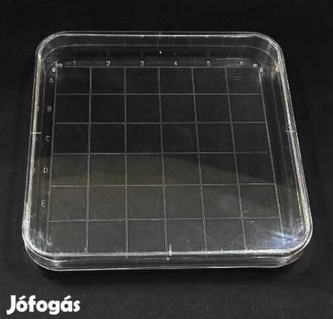 10db MŰanyag Petri Csésze 10x10mm  (4315)