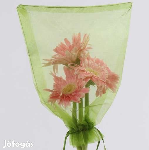 10db. Beporzás, vagy Rovarvédő háló 25x35cm  (4953)
