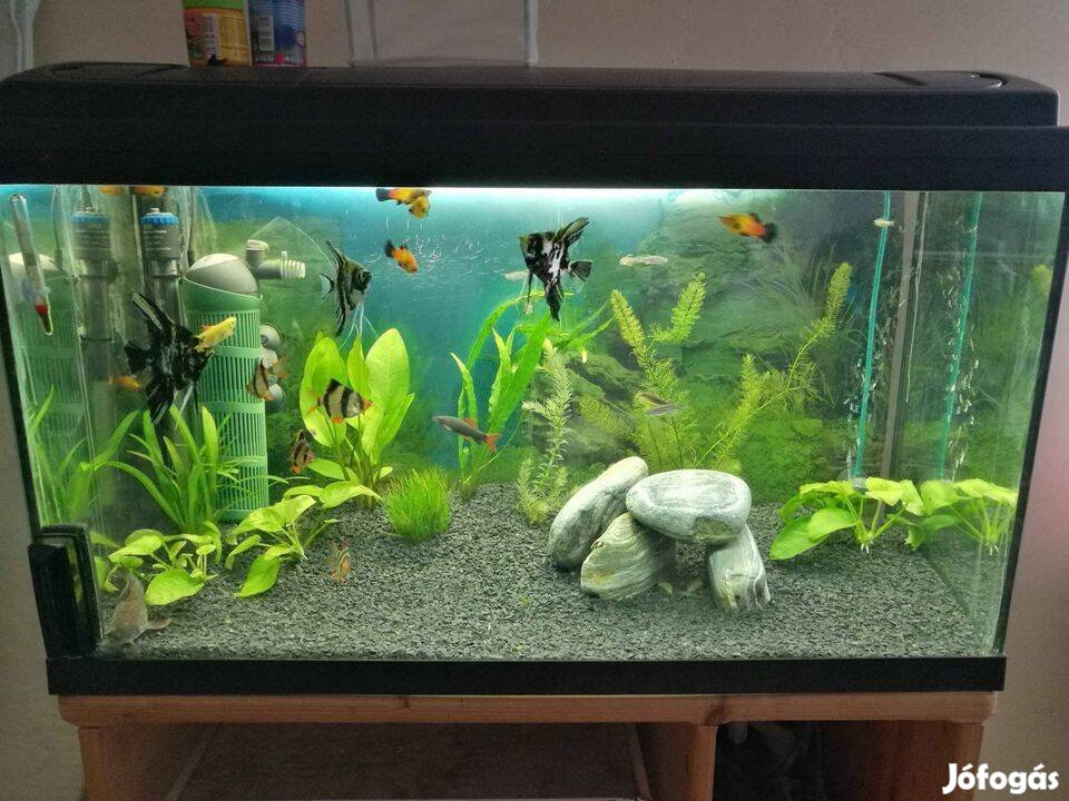 120 Literes Aquarium