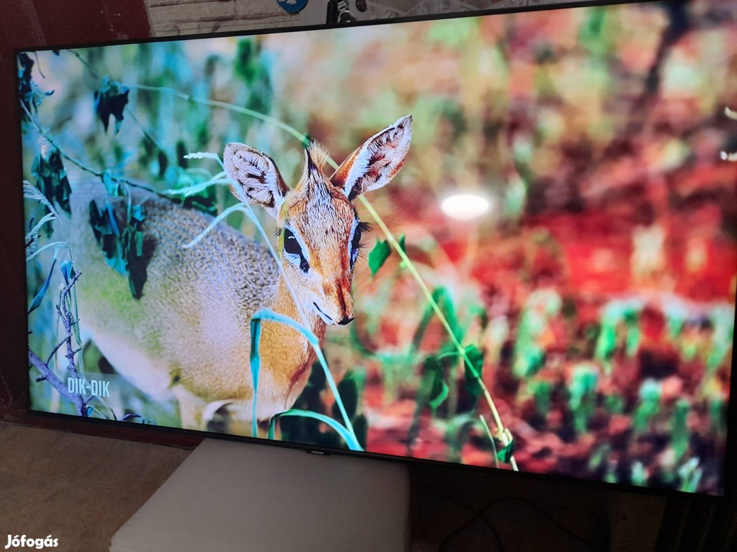 127cm Samsung Smart Tv eladó ár alatt!