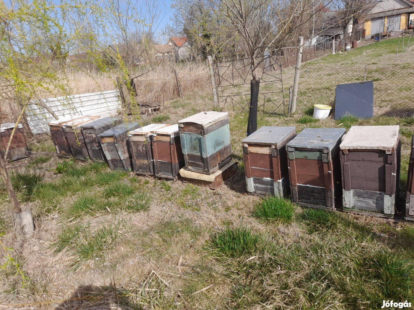 13 Hunor méhcsalád kereten vagy kaptárral és méztérrel együtt eladó